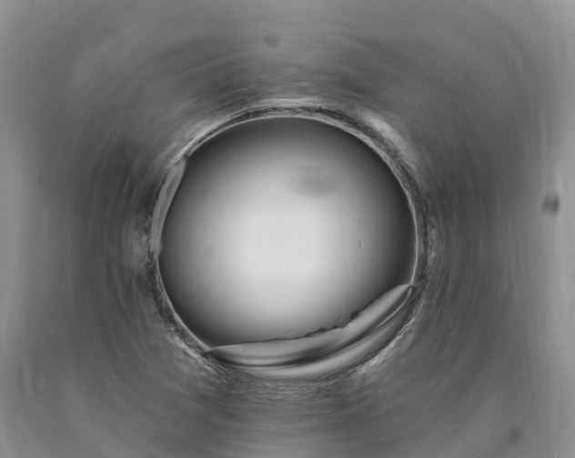X0000090481361200707201407