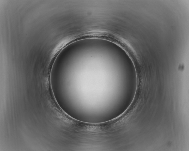X0000090481362200707201407