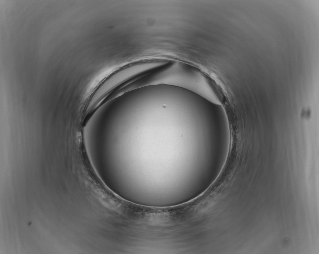 X0000090481363200707201407