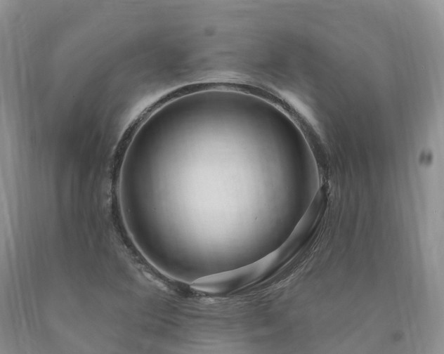 X0000090481364200707201407