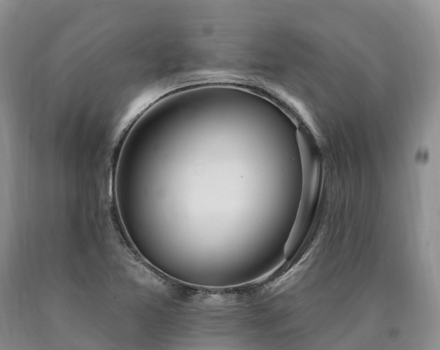X0000090481365200707201407