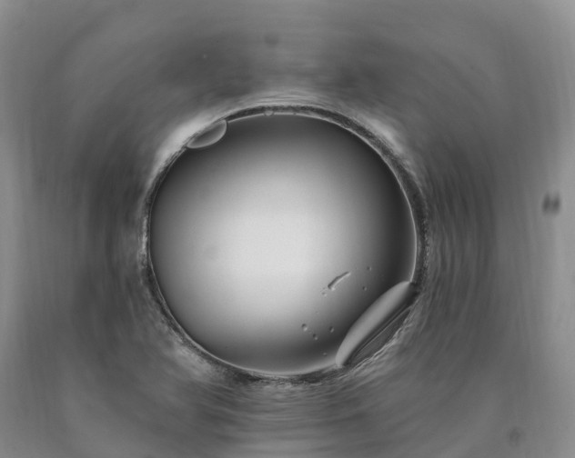 X0000090481366200707201407