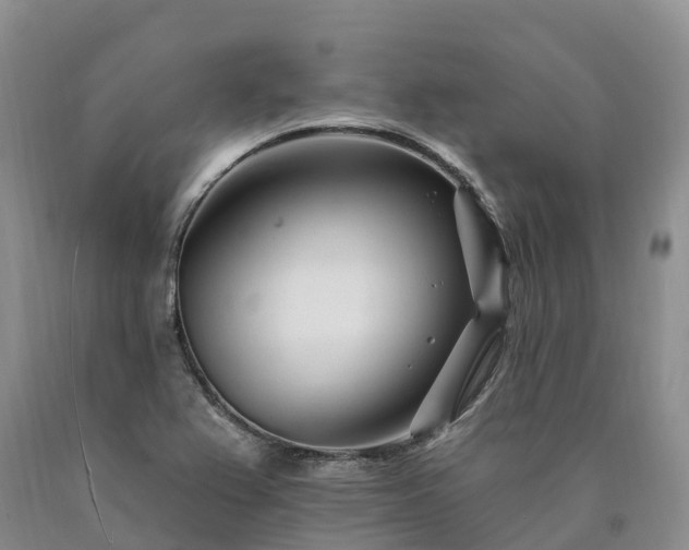 X0000090481367200707201407