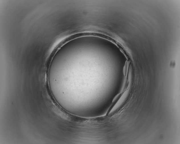 X0000090481368200707201407