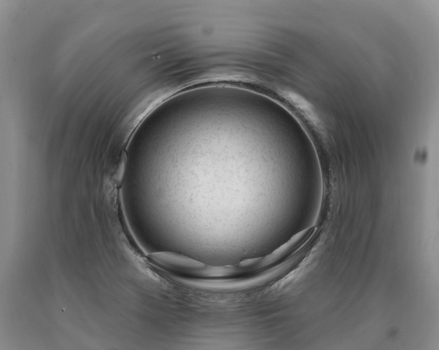 X0000090481369200707201407