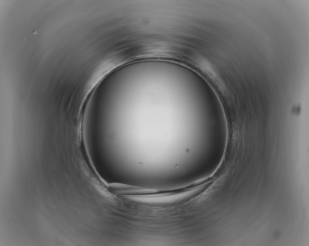 X0000090481370200707201406