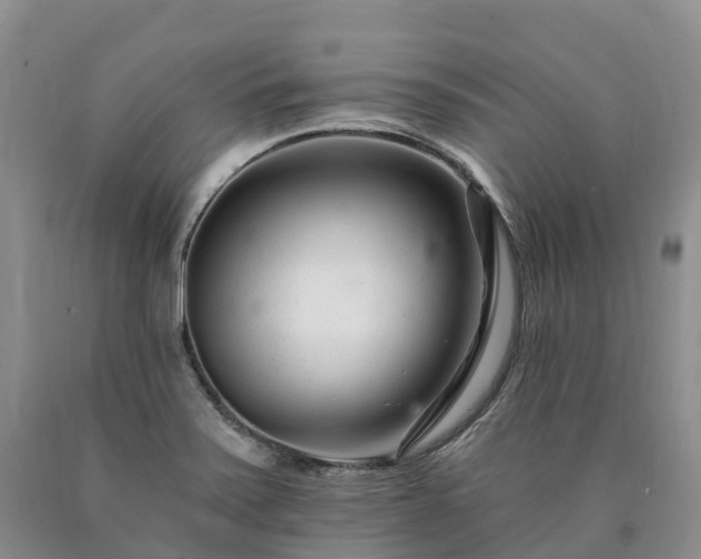 X0000090481371200707201406