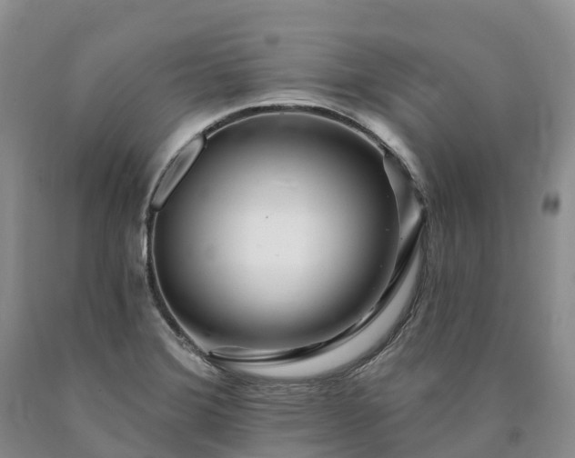 X0000090481372200707201406