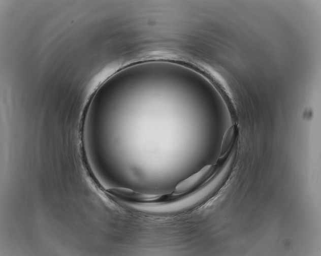 X0000090481373200707201406