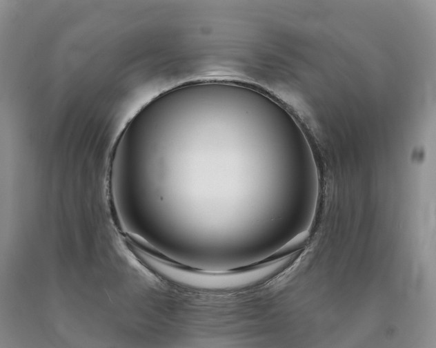 X0000090481374200707201406