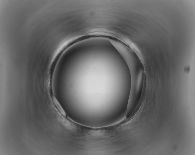 X0000090481376200707201406