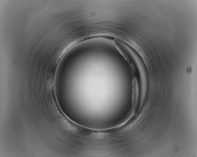 X0000090481377200707201406