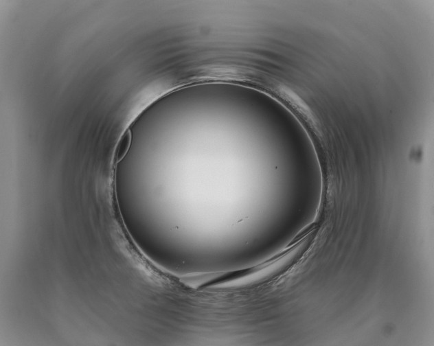X0000090481378200707201406