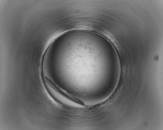 X0000090481379200707201406
