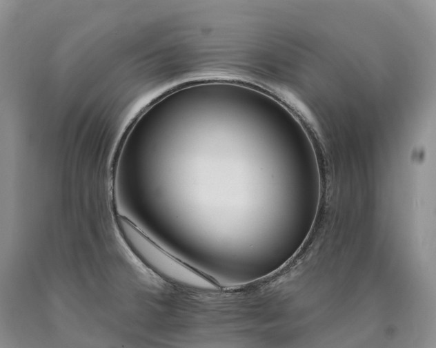 X0000090481380200707201406