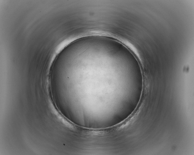 X0000090481381200707201406