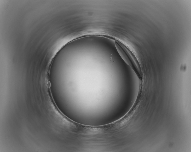 X0000090481382200707201406