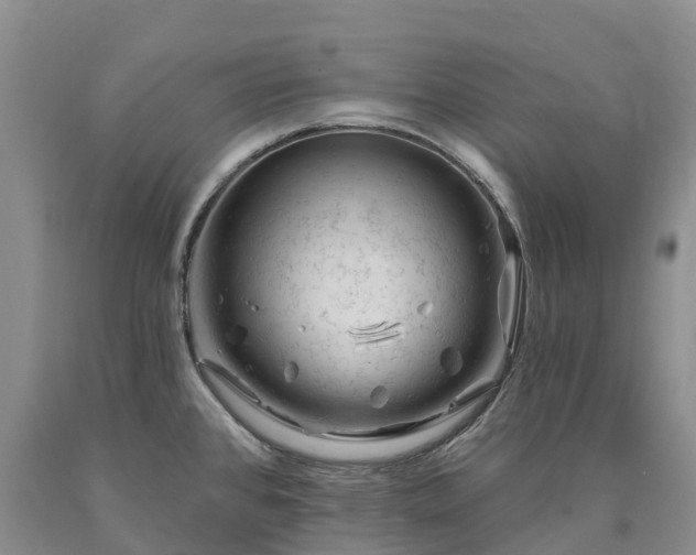 X0000090481384200707201406