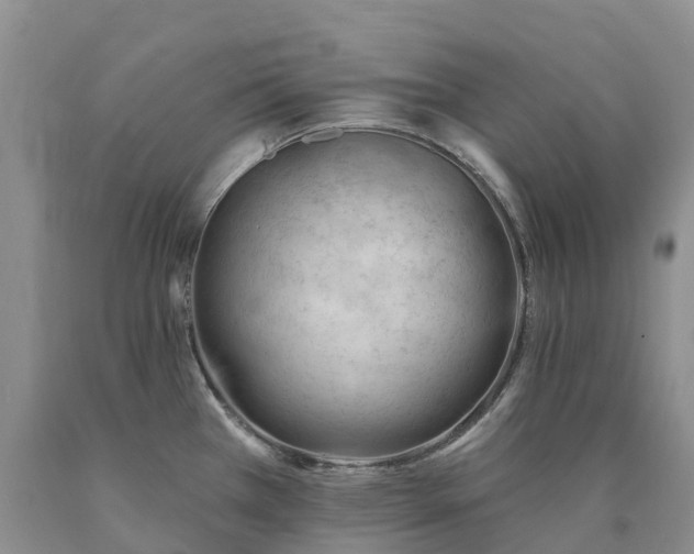 X0000090481385200707201406
