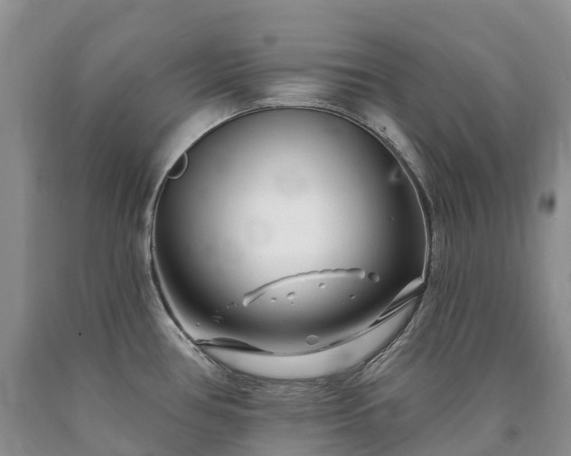 X0000090481386200707201406
