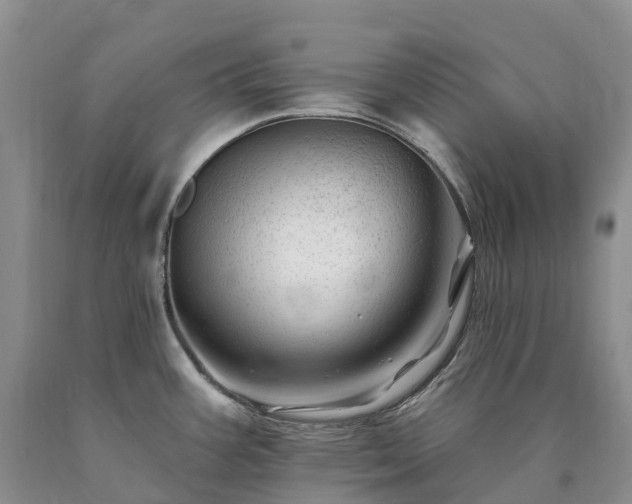 X0000090481387200707201406