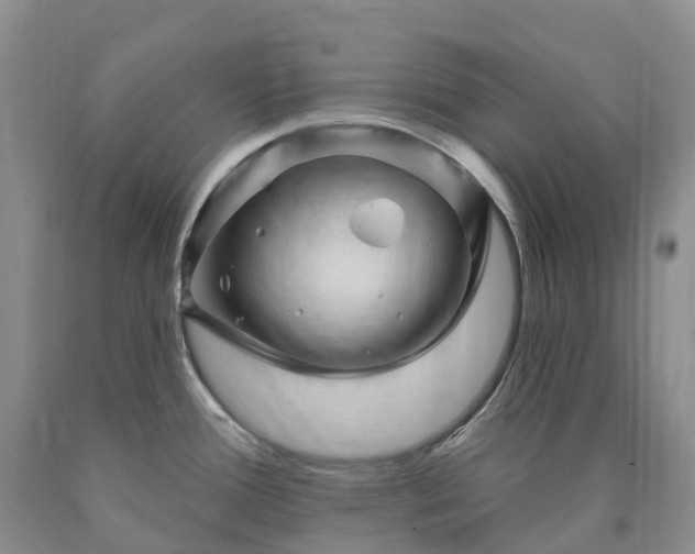 X0000090481388200707201406