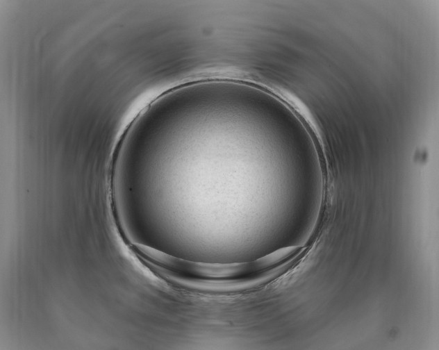 X0000090481389200707201406
