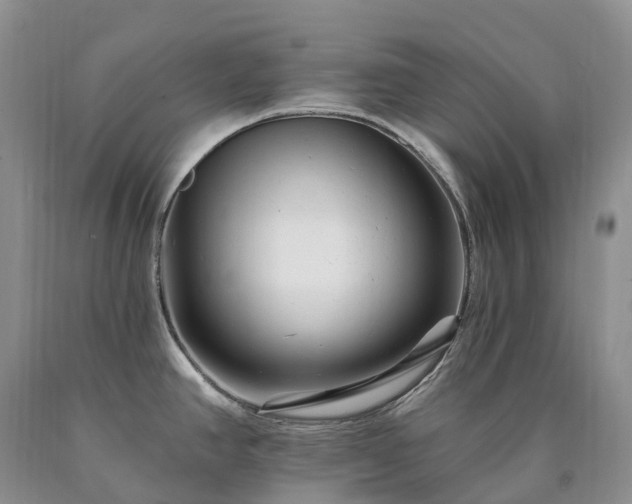 X0000090481390200707201406