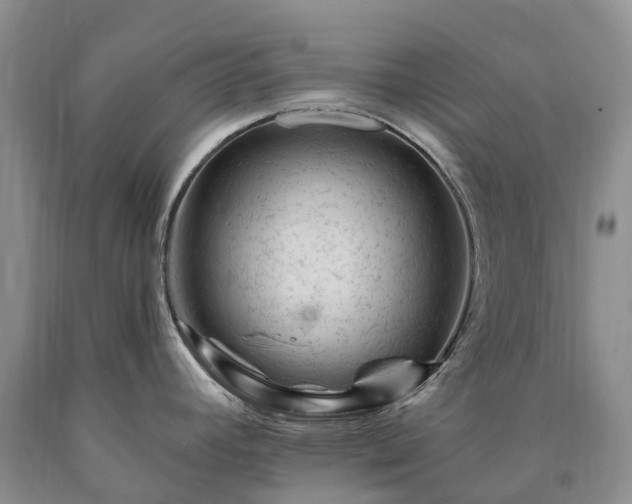 X0000090481392200707201406
