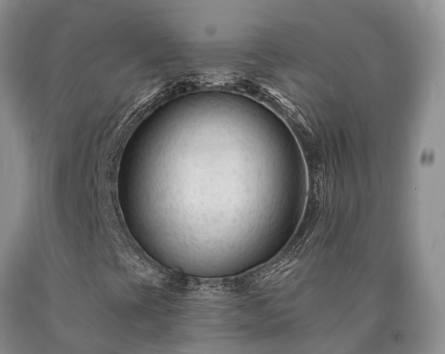X0000090481393200707201405