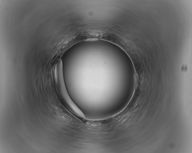 X0000090481394200707201405
