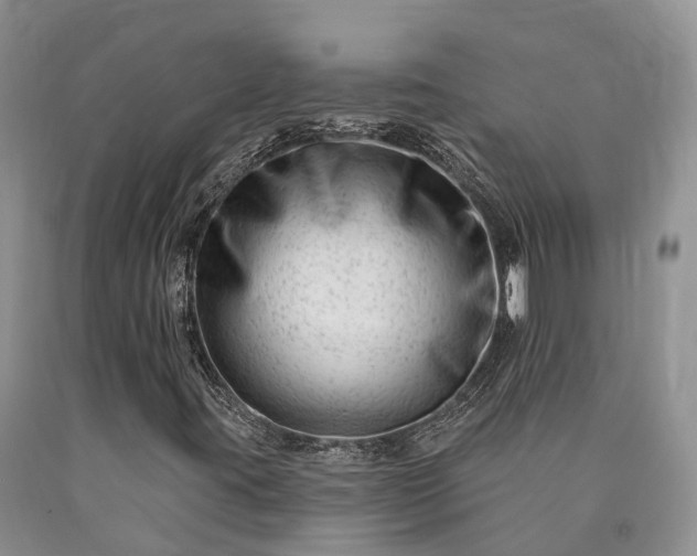 X0000090481395200707201405
