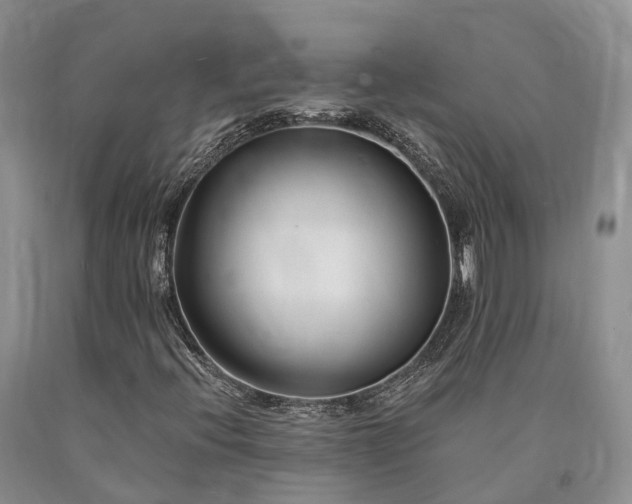 X0000090481396200707201405