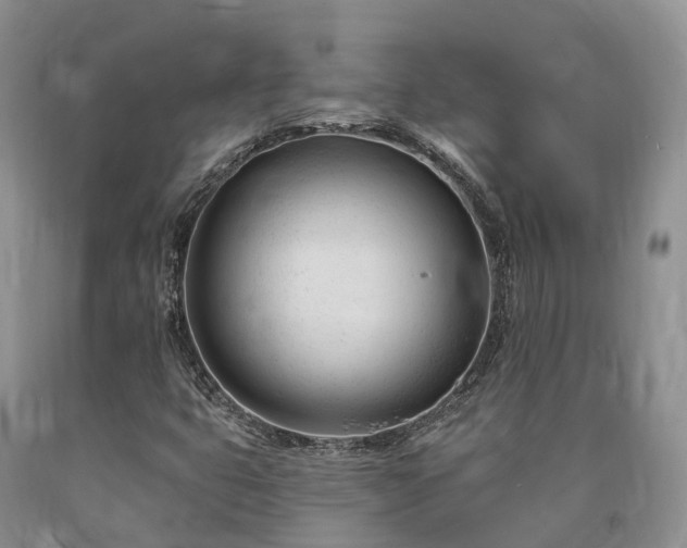 X0000090481399200707201406