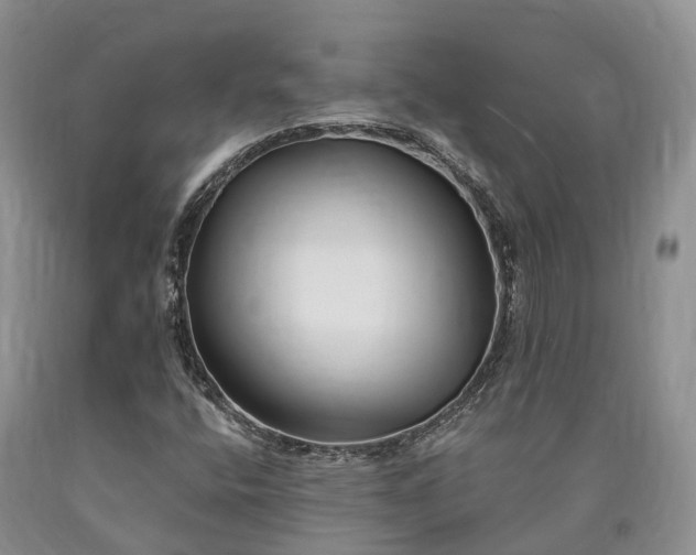 X0000090481400200707201406