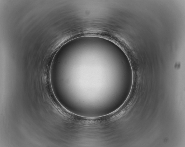 X0000090481401200707201406