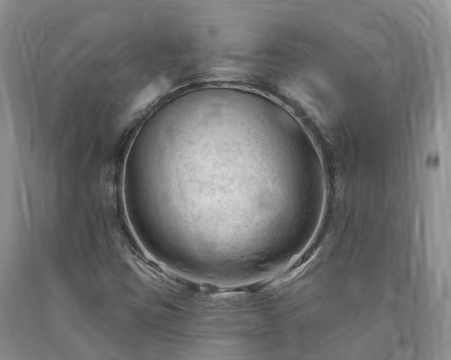 X0000090481403200707201406