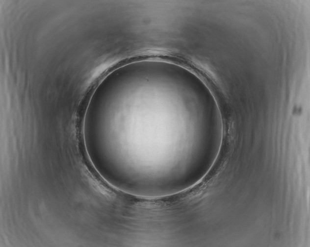 X0000090481404200707201406