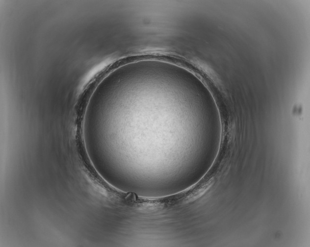 X0000090481406200707201406