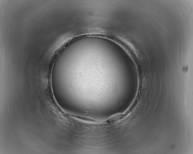 X0000090481407200707201406