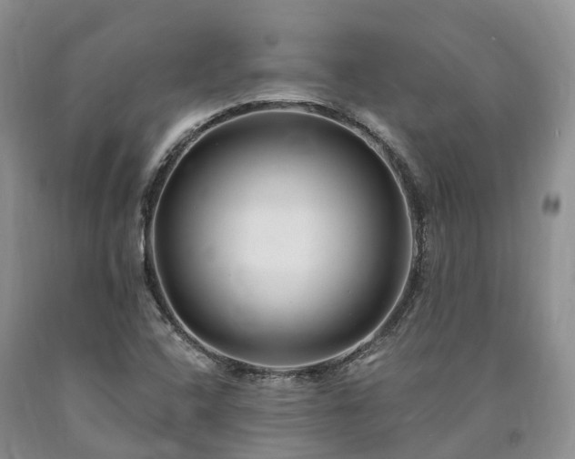 X0000090481408200707201406