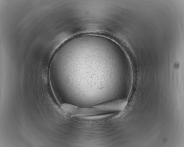 X0000090481409200707201406