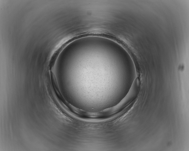 X0000090481410200707201406