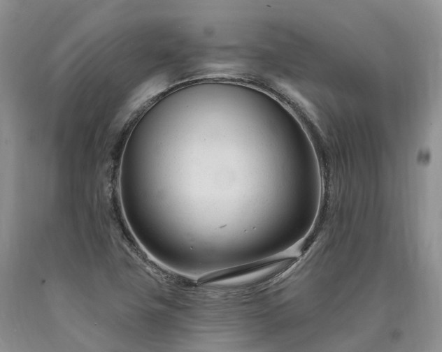 X0000090481411200707201406