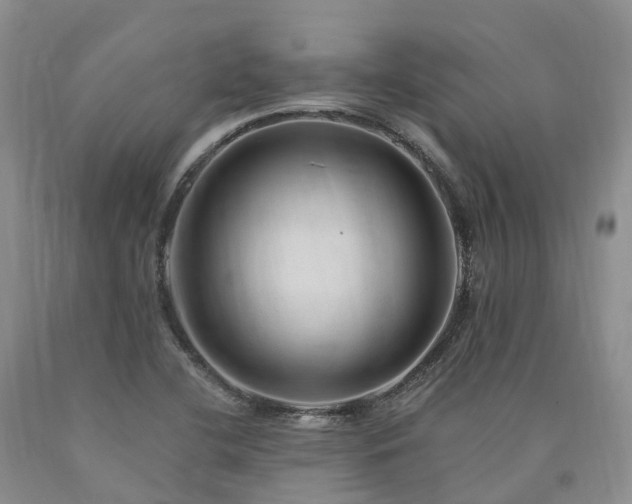 X0000090481412200707201406