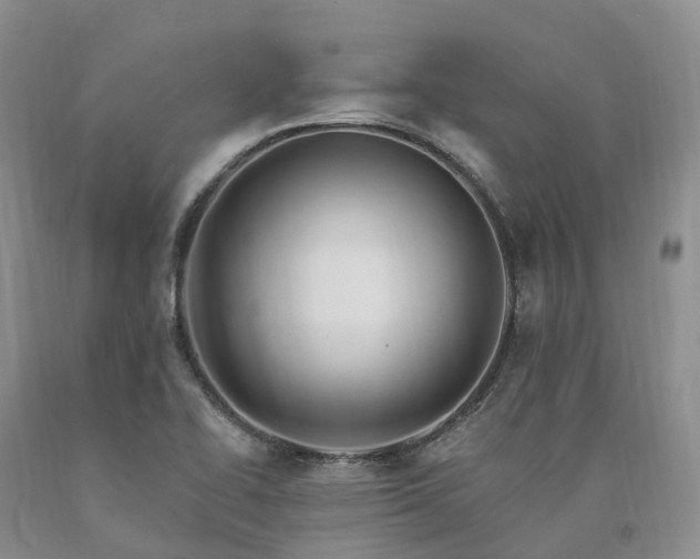 X0000090481414200707201406
