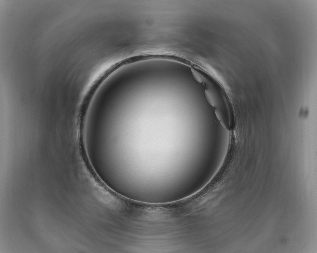 X0000090481416200707201406