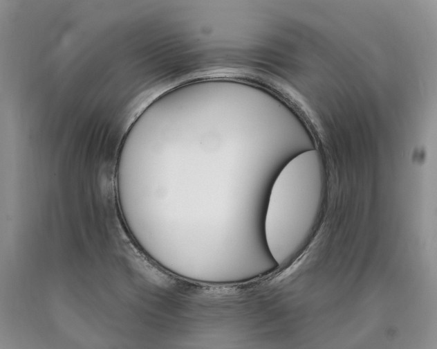 X0000090481417200707201406