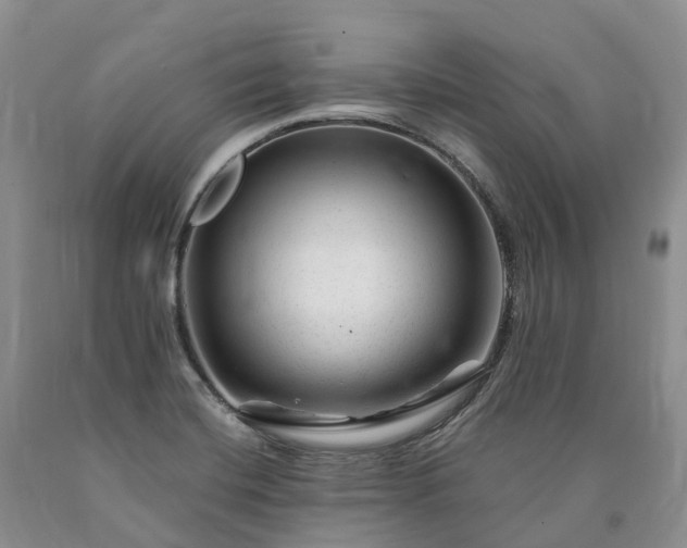 X0000090481420200707201406
