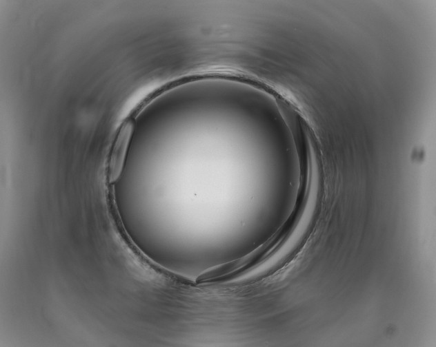 X0000090481422200707201406